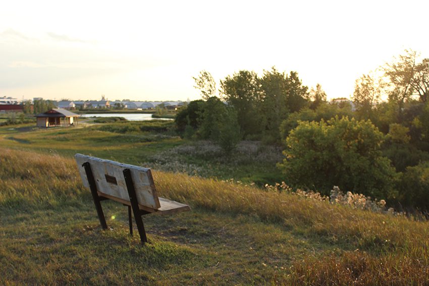 Discovery Nature Sanctuary